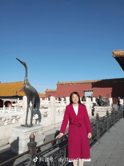 故宫 官方 下载跟美拍历史全部版本,实地调研解释定义-V版_v7.947